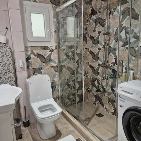 Rotonta